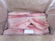 Grouper Fillet CO Treated S/L