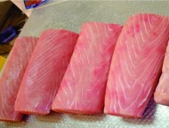 Marlin Loin CO Treated S/L