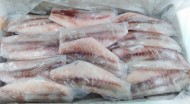 Barramundi Fillet S/L
